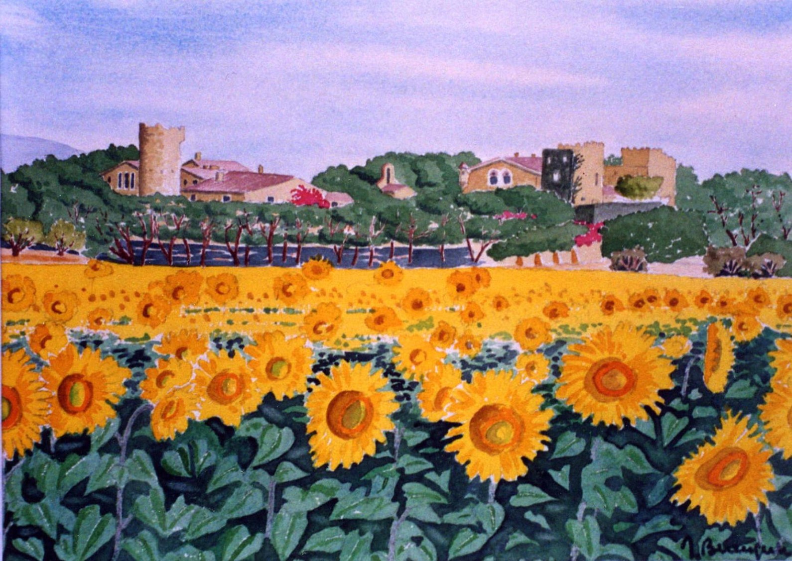 Tournesols Jean Berenguer